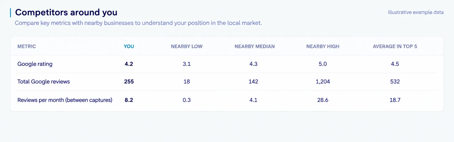 Illustrative local competitor profile comparison and local-standing measures.