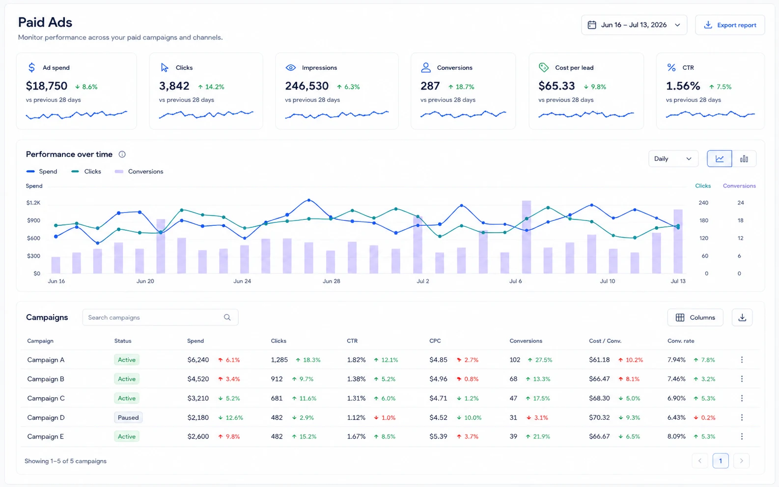 Vicin paid ads view with Google Ads spend, clicks, conversions, and campaign performance