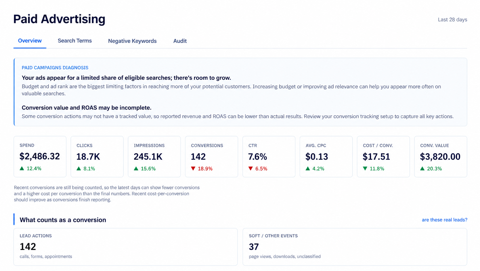 Vicin Paid Advertising Overview showing diagnosis, spend, clicks, impressions, conversions, click-through rate, average cost per click, cost per conversion, and conversion value